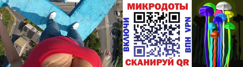 Купить где  Пролетарск  Галлюциногенные грибы мицелий 